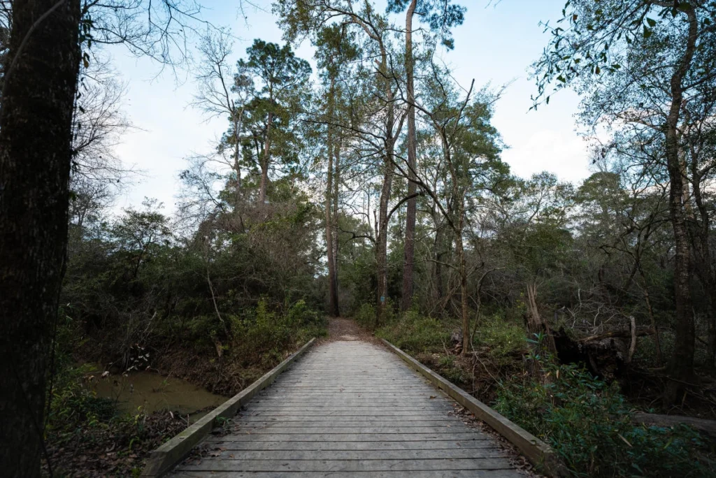 George Mitchell Nature Preserve